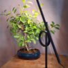 Pallucco Tangent lamp