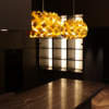 Pallucco Ring pendant lamp